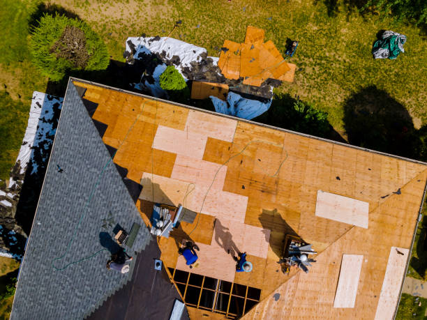 Best Roof Gutter Cleaning  in Scottsburg, IN